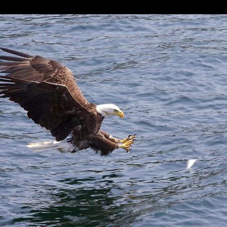 Baddeck Inlet Bryson'S Bed And Breakfast المظهر الخارجي الصورة