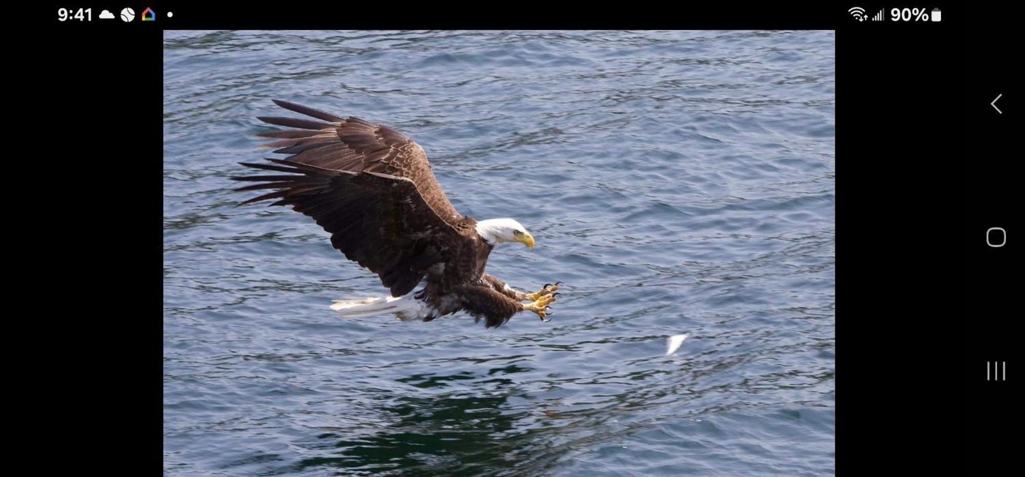 Baddeck Inlet Bryson'S Bed And Breakfast المظهر الخارجي الصورة